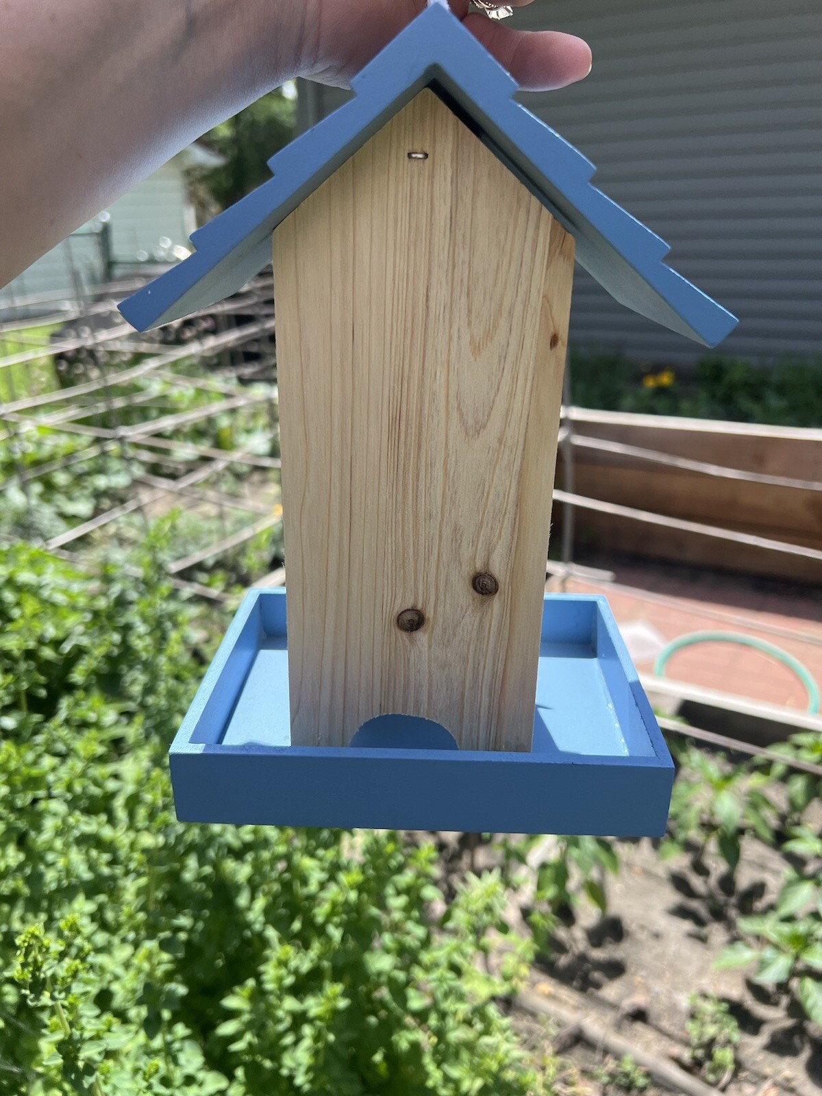 Picture 17 of 20