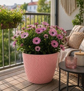 Rosa Topf | eBay.de