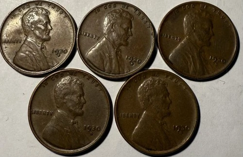 Qty 5 ~ 1930 D Lincoln Wheat Cent VF/XF Nice Coins # 2