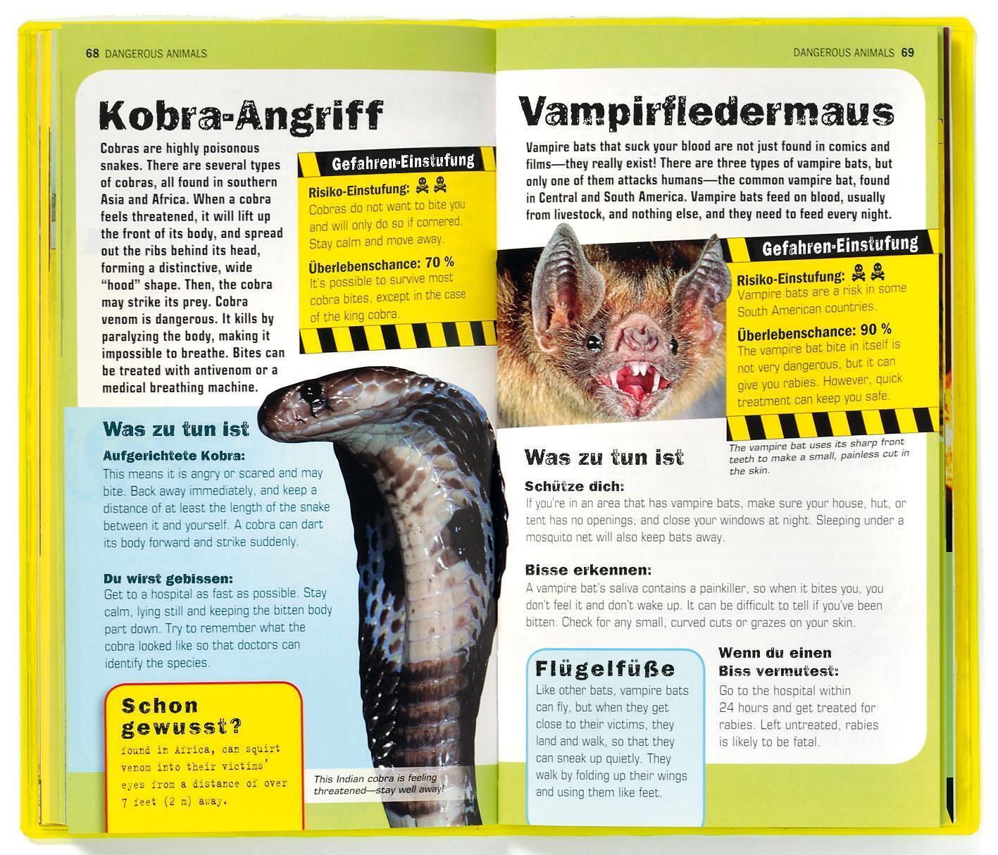Thumbnail - Anna Claybourne Die 100 Gefährlichsten Dinge Der Welt Und Wie Man Sie