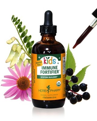 Herb Pharm Kids Immune Fortifier: 4 Fl Oz (Pack of 1), Dark Burgundy