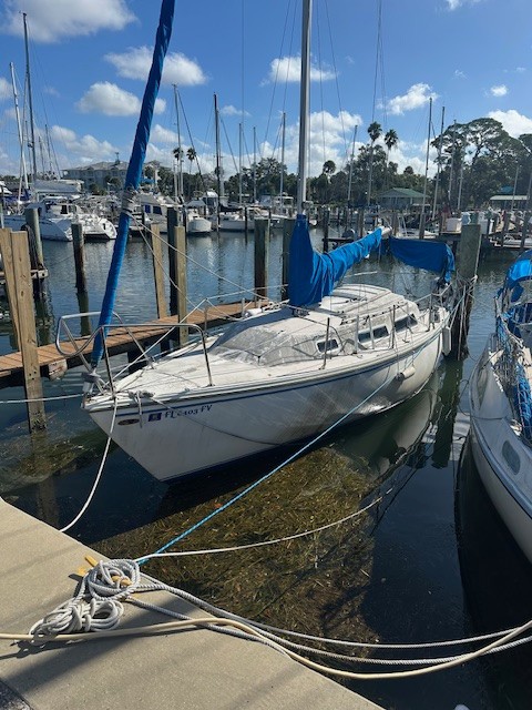 1981 Catalina 25' Sailboat - Outboard Honda - Florida