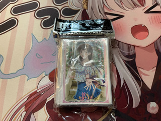 Bushiroad Rent a Girlfriend Mizuhara Chizuru Vol. 2669 TCG Card Sleeves