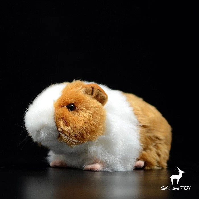Guinea pig cheap toys ebay