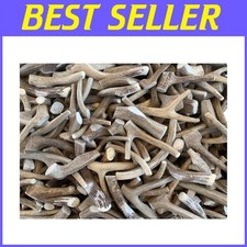 Deer Antler Dog Chews - Whitetail Quality