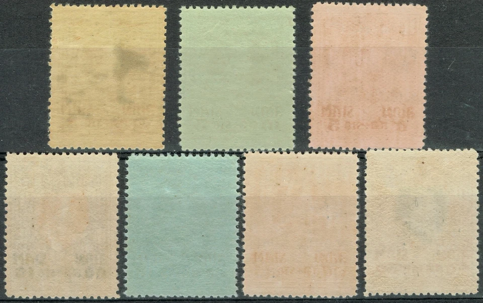 [st8552] TAILANDIA SIAM 1920 Sc#B24/30 MLH Scout's fund cv: $500 WILD TIGER CORPS Foto 2 de 2