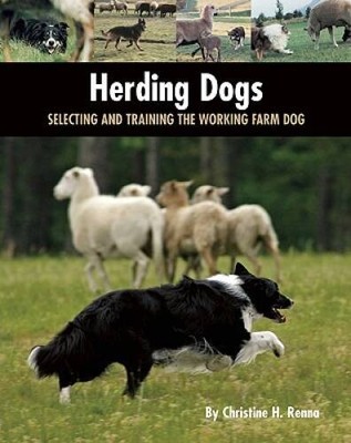 Herding Dogs: Selecting and Training the Working Farm Dog (Country Dog) - GOOD