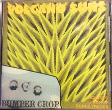 VOLCANO SUNS - Bumper Crop - CD - **Excellent Condition**