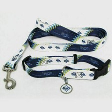 TAMPA BAY RAYS DOG CAT PET SET COLLAR LEASH ID TAG SMALL