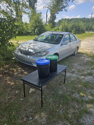 #ad Detergent Laundry $35.00