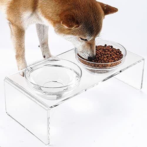 Acrylic Elevated Dog Cat Bowls Pet Medium: 5.5'' Height, 34 oz Glass Bowl - Picture 3 of 8