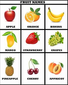 Fruit Chart For Toddlers