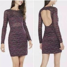 Express Long Sleeve Floral Lace Bodycon Dress New Women's Size Small