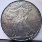 2008 Silver American Eagle ANTIQUE Toning