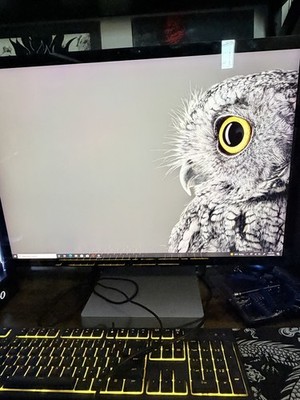 Microsoft Surface Studio All-in-One i7 16GB SSD GTX 965M Windows 10