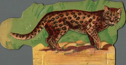 2 CHROME ESTABLISHMENTS MOLIE