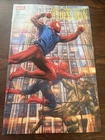 AMAZING SPIDER-MAN # 25 LEE BERMEJO VARIANT SPIDERMAN 1