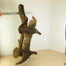 Hungarian Grey Partridge & Chukar Partridge Flying Birds Taxidermy  Wall Mount