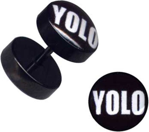 PIERCINGO® FAKE PLUG EDELSTAHL STAHL FAKEPLUG TUNNEL OHRSTECKER OHR STECKER 1,2 - Bild 9 von 9