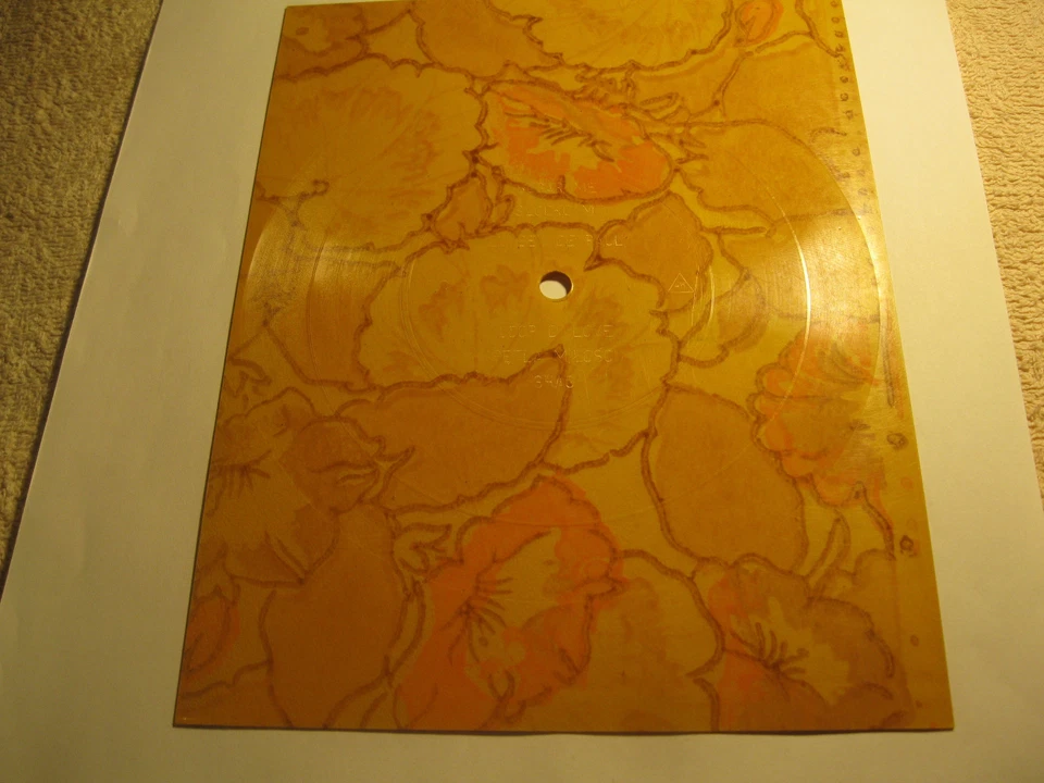 Flexi Disc Tonpostkarte Shag Loop Di Love Lynsey de Paul Nr. 73