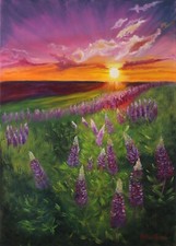 Lupini al tramonto quadro campo dipinto olio originale paesaggio tela 28 per 20"