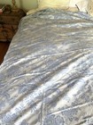 Bella Notte Paradiso Twin Duvet Cover Light Blue Damask — photo 3