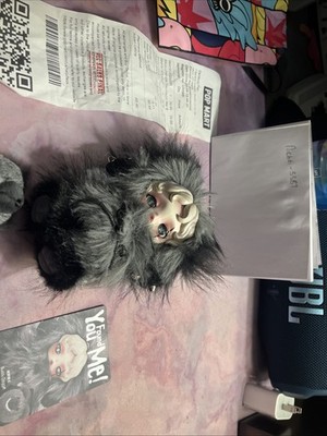 Skull Panda You Found Me Series Buddy Doggie Secret Rare