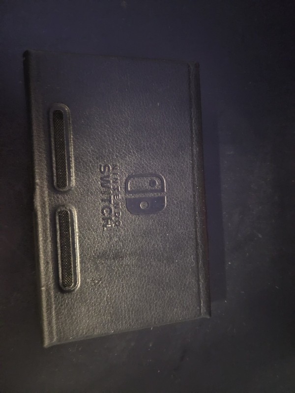 Nintendo Switch Accessory Game Case!