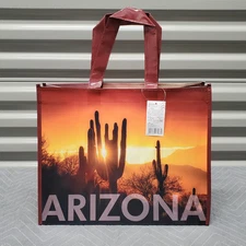 ARIZONA Landscape Reusable Grocery Shopping Tote Bag Medium 15x12x8" Daiso Japan