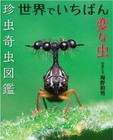 World strange insects: Rare insects and strange insects encyclopedia