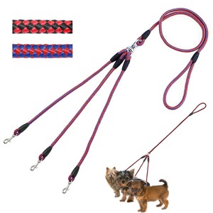 leash for walking 3 dogs