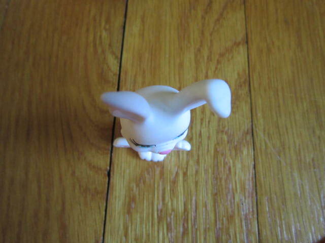 Picture 7 of 7