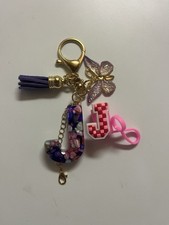 A Initial Letter Keychain Pink Snow Butterfly Tassel Resin Material Women Gift