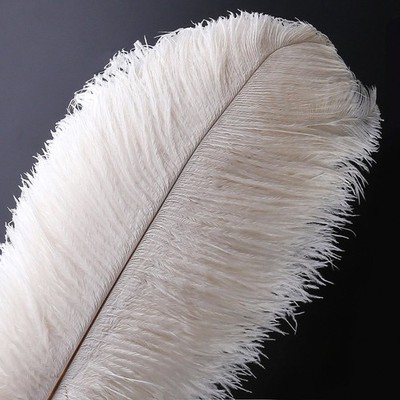 10 PCS Natural Ostrich Feather Craft 1618 Inch 4045 cm Plume White Wedding