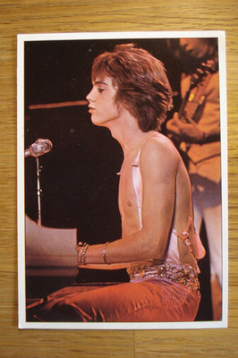 Aufkleber Mini-Poster STICKER PANINI POP STARS SHAUN CASSIDY DAVID BRAVO BTO MUD