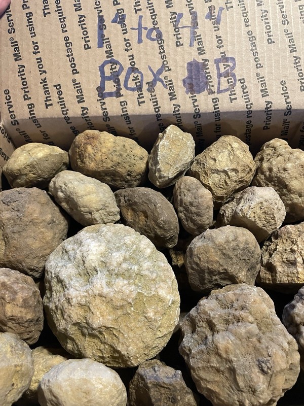 BOX OF KENTUCKY GEODES:VARIOUS SIZES-1” TO 4” LAPIDARY! BOX B