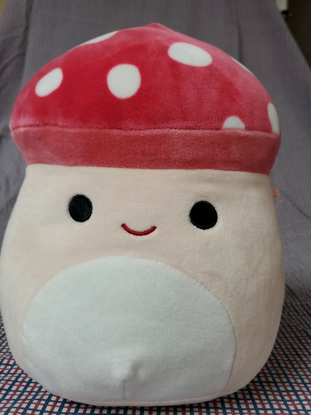 malcolm the mushroom squishmallow ebay