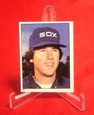 Rich Dotson 1981 Baseball Sticker TOPPS #62