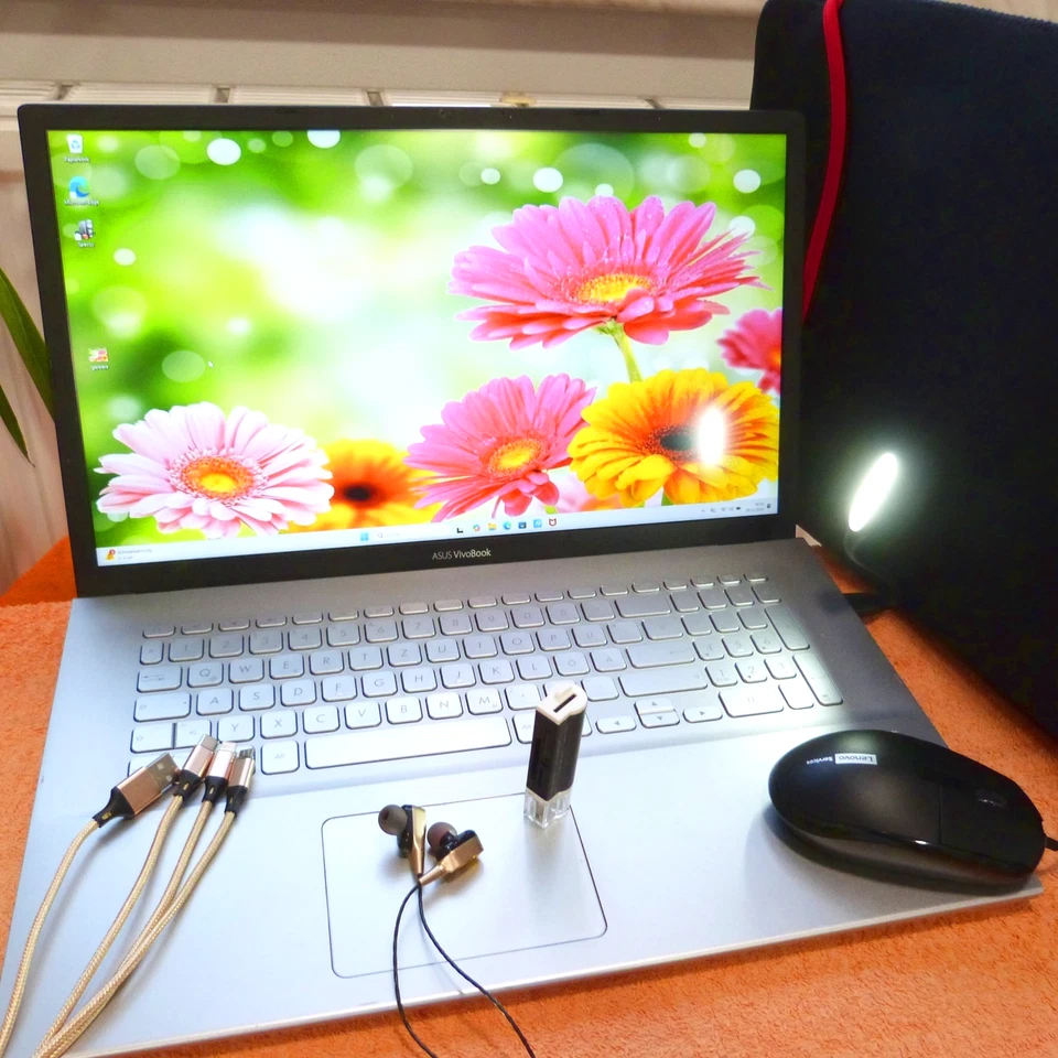 Asus K712 VivoBook 17 Zoll METALL UltraBook I 10 Gen Core i7 l SSD Windows 11 64