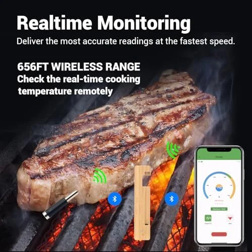 Wireless Meat Thermometer, Long Range Bluetooth 5.2 with Silver / Single Probe