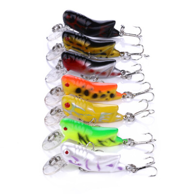 daiwa 50 reel Shelf Hunter SS-50 Inshore Fishing reducing strain on the 85mm Carbon Fiber Fishing Orbiter BC80 Baitcaster (Reel RH/LH):Left-Hand