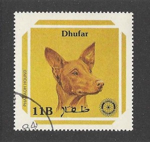 Dog Art Head Study Portrait Postage Stamp PHARAOH HOUND Dhufar 1984 CTO