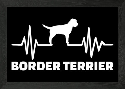 Border Terrier gerahmtes Wandbild Poster Leinwanddruck Bild