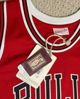 Michael Jordan Signed UDA Bulls Jersey 1997-98 Mitchell & Ness UDA Hologram Rare — photo 6