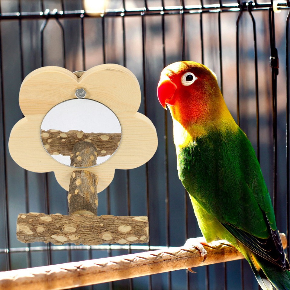 Papageien Spielzeug Mit Glocke – Bunte Holzperlen & Kaugelement Für Wellensittiche & Vögel