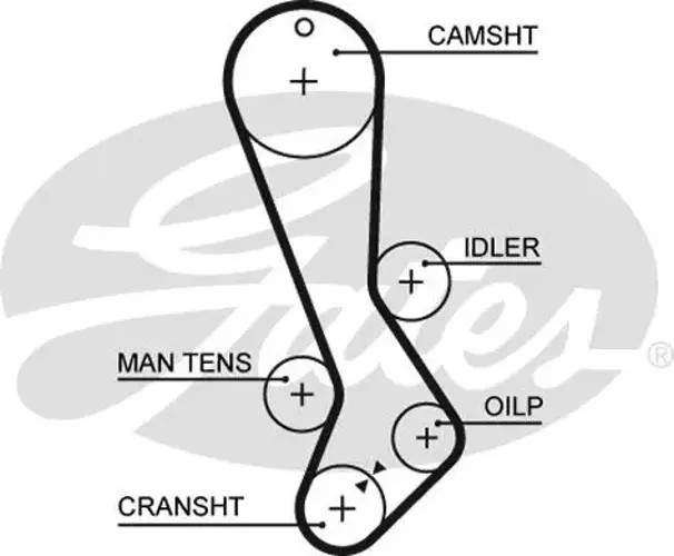 GATES-OE 5282XS Timing Belt for LEXUS,TOYOTA - Image 2