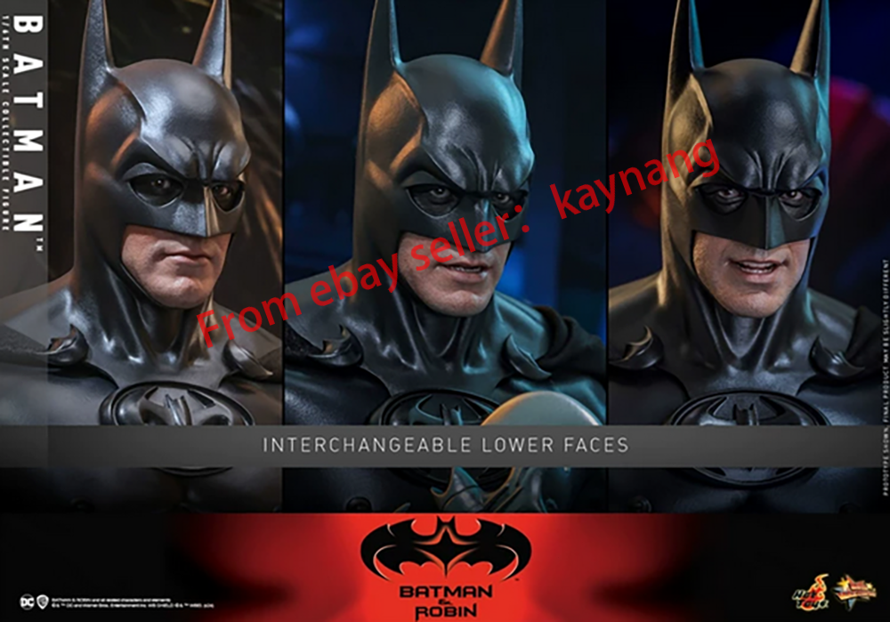 Hot Toys MMS786 Batman & Robin 1/6 Scale Batman Action Figure Toy