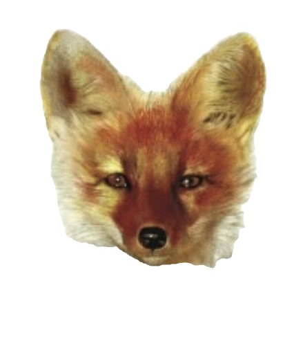 Babymetal Fox Man T-Shirt Xl Dpf Limited | eBay