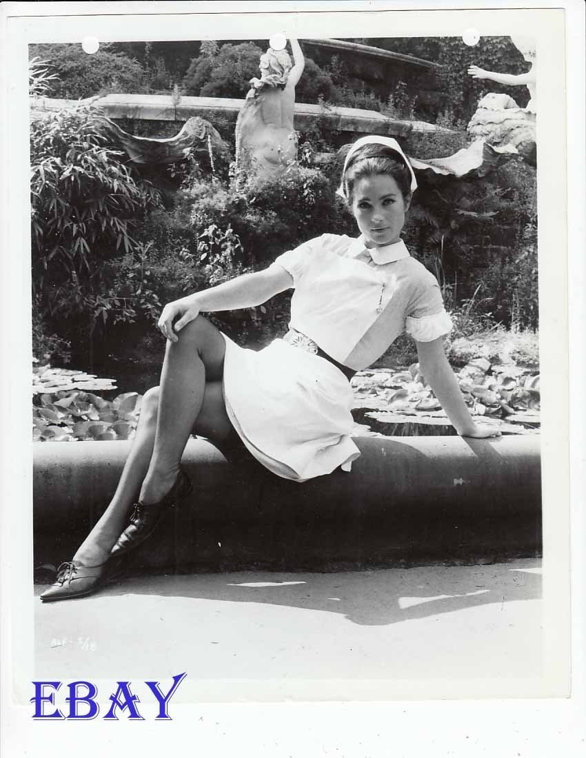 Shirley Ann Field sexy nurse VINTAGE Photo Alfie | eBay