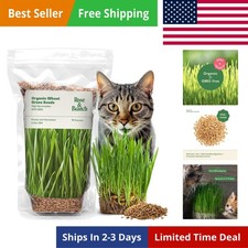 Rose  Branch Organic Wheat Grass Seeds for Indoor Cats - Cat Grass Seeds - 1...